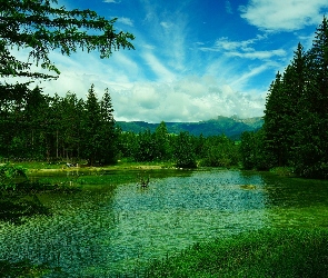 Toblach, Lato, Lasy, Włochy, Jezioro