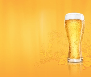Szklanka, Budweiser, Czeskie, Piwo