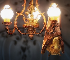 Lampa, Żyrandol, Nietoperz