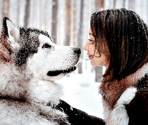 Śnieg, Kobieta, Pies, Husky