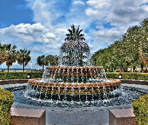 Fontanna, HDR, Obłoki, Palmy, Park