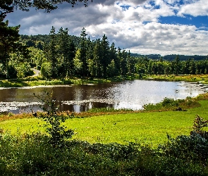 Rzeka, Łąka, Wzgórza