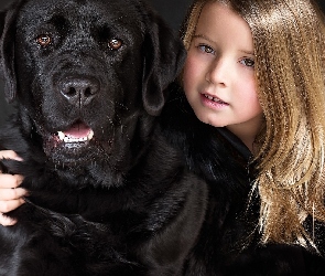 Labrador Retriever, Pies, Mała, Dziewczynka