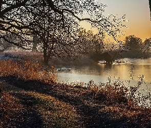 Wschód słońca, Rogaliński Park Krajobrazowy