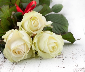 Kwiaty, Róże, Białe