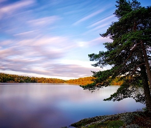 Jesień, Drzewa, Jezioro Källtorpssjön, Szwecja