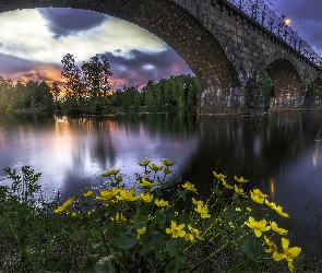 Most, Drzewa, Zachód Słońca, Kwiaty, Rzeka