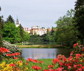 Zamek Pruhonice, Miejscowość Pruhonice, Różanecznik, Park, Staw, Czechy