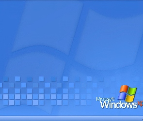 Windows XP