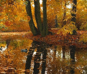 Odbicie, Staw, Kaczki, Drzewa, Jesień