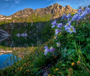 Jezioro, Kwiaty, Góry