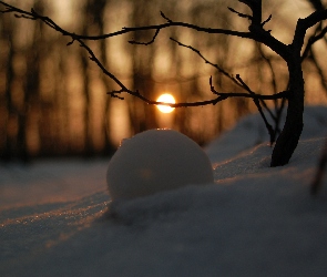 Odbicie, Las, Śnieg, Słońca