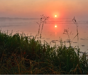 Zachód, Trawa, Mgła, Słońca, Jezioro