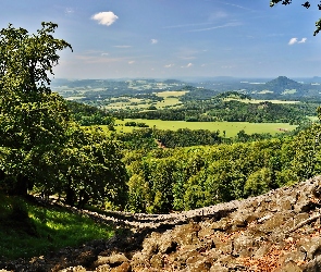 Cień, Światło, Dolina, Lasy
