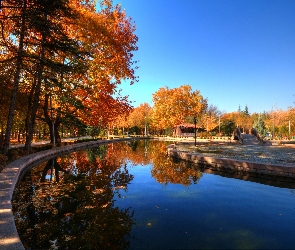 Jesień, Drzewa, Park