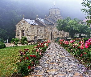 Aleja, Mgła, Drzewa, Róże, Cerkiew