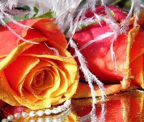 Pomarańczowe, Róże, Kwiaty