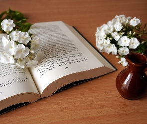 Książka, Dzbanuszek, Floksy, Białe