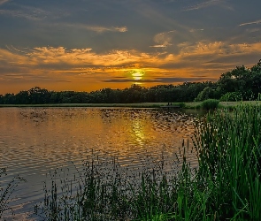 Wschód Słońca, Szuwary, Jezioro