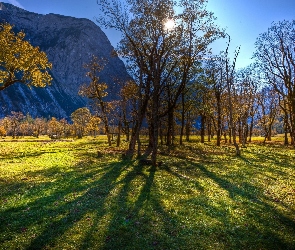 Park, Góry