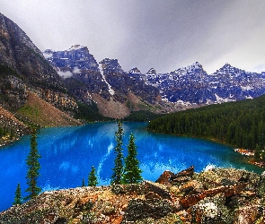 Skały, Las, Jezioro Moraine Lake, Góry, Park Narodowy Banff, Kanada