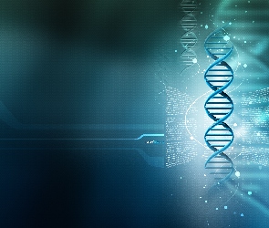 DNA, 3D, Łańcuch