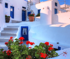 Kwiaty, Santorini, Dom