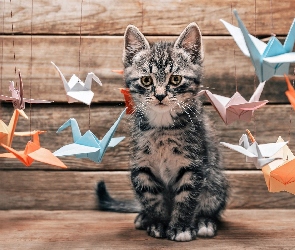 Kot, Origami, Ptaszki, Kotek