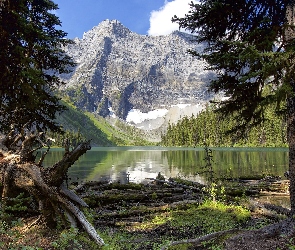 Jezioro Rawson, Alberta, Drzewa, Góry, Lasy, Kanada