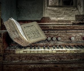 Stare, Książka, Organy
