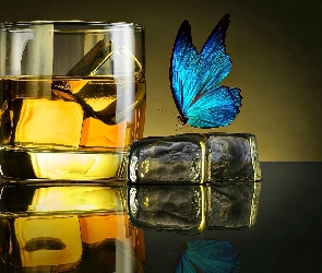 Drink, Motyl, Niebieski, Lód