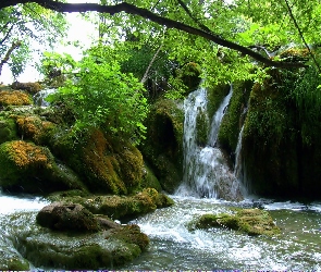 Plitvice, Drzewa, Wodospad, Skały