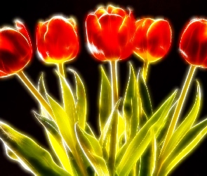 Tulipanów, 3D, Sześć