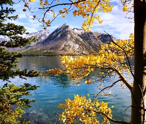 Jezioro, Drzewa, Góry