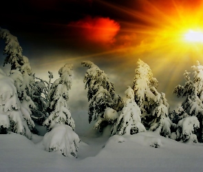 Zima, Zachód słońca, Śnieg, Las
