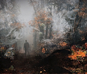 Mgła, Las, Fantasy, Mężczyzna