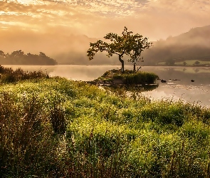 Trawa, Jezioro