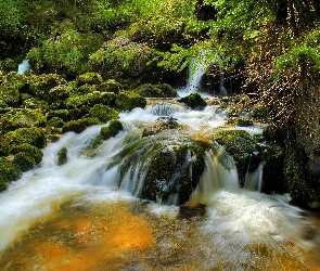 Potok, Kamienie, Wodospad
