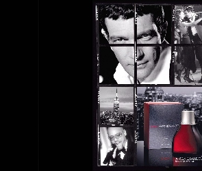 mężczyzna, flakon, perfumy, aktor, Antonio Banderas