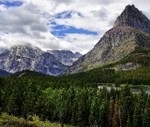 Stany Zjednoczone, Stan Montana, Las, Góry, Rzeka, Park Narodowy Glacier