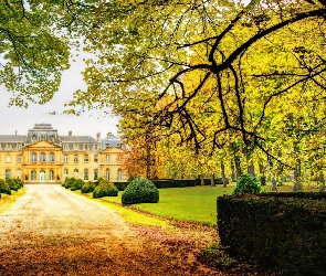 Jesień, Drzewa, Budowla, Park