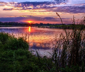 Słońca, Zachód, Trawy, Rzeka, Ścieżka, Lasy
