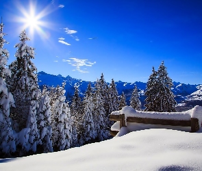 Zima, Promienie Słońca, Las, Góry