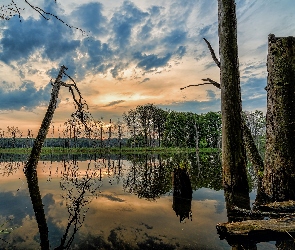 Jezioro, Odbicie, Ułamane, Drzewa, Chmury