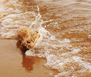 Fala, Plaża, Morze