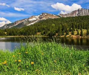 Góry, Jezioro, Lasy