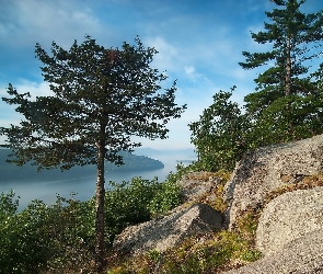 Jezioro, Skały, Las