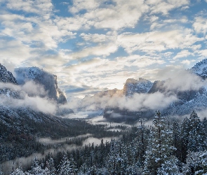 Stany Zjednoczone, Drzewa, Park Narodowy Yosemite, Góry, Stan Kalifornia