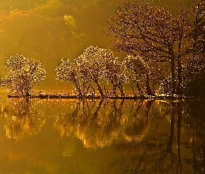 Odbicie, Jesień, Drzewa, Jezioro, Wyspa, Zachód Słońca