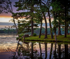 Odbicie, Drzewa, Jezioro Delton, Wisconsin